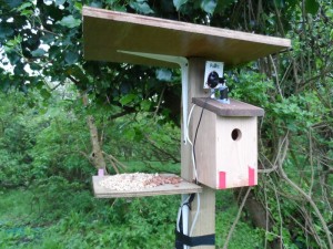 GB3WB Post Bird Box